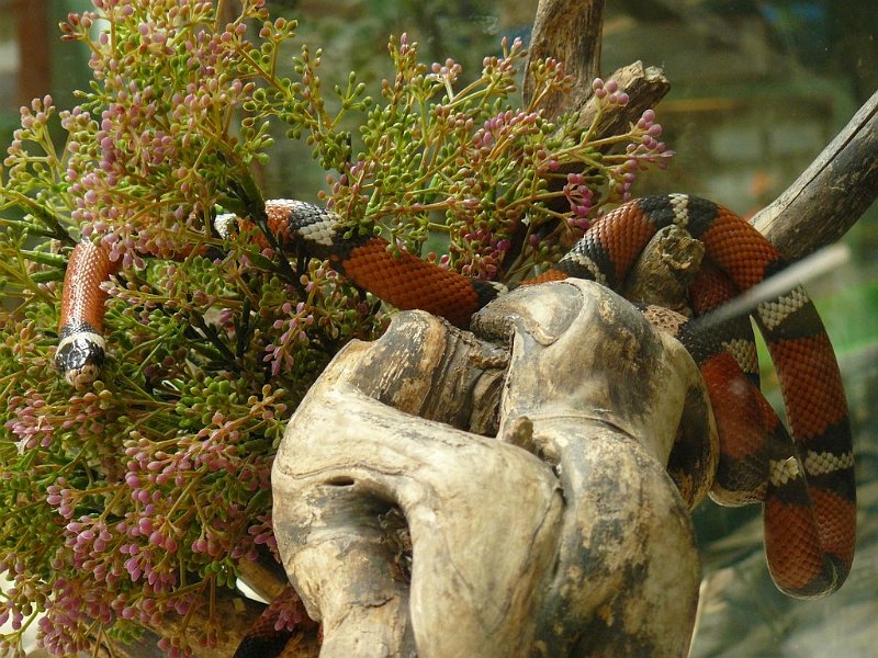 2008 05 Séjour à Martel 84